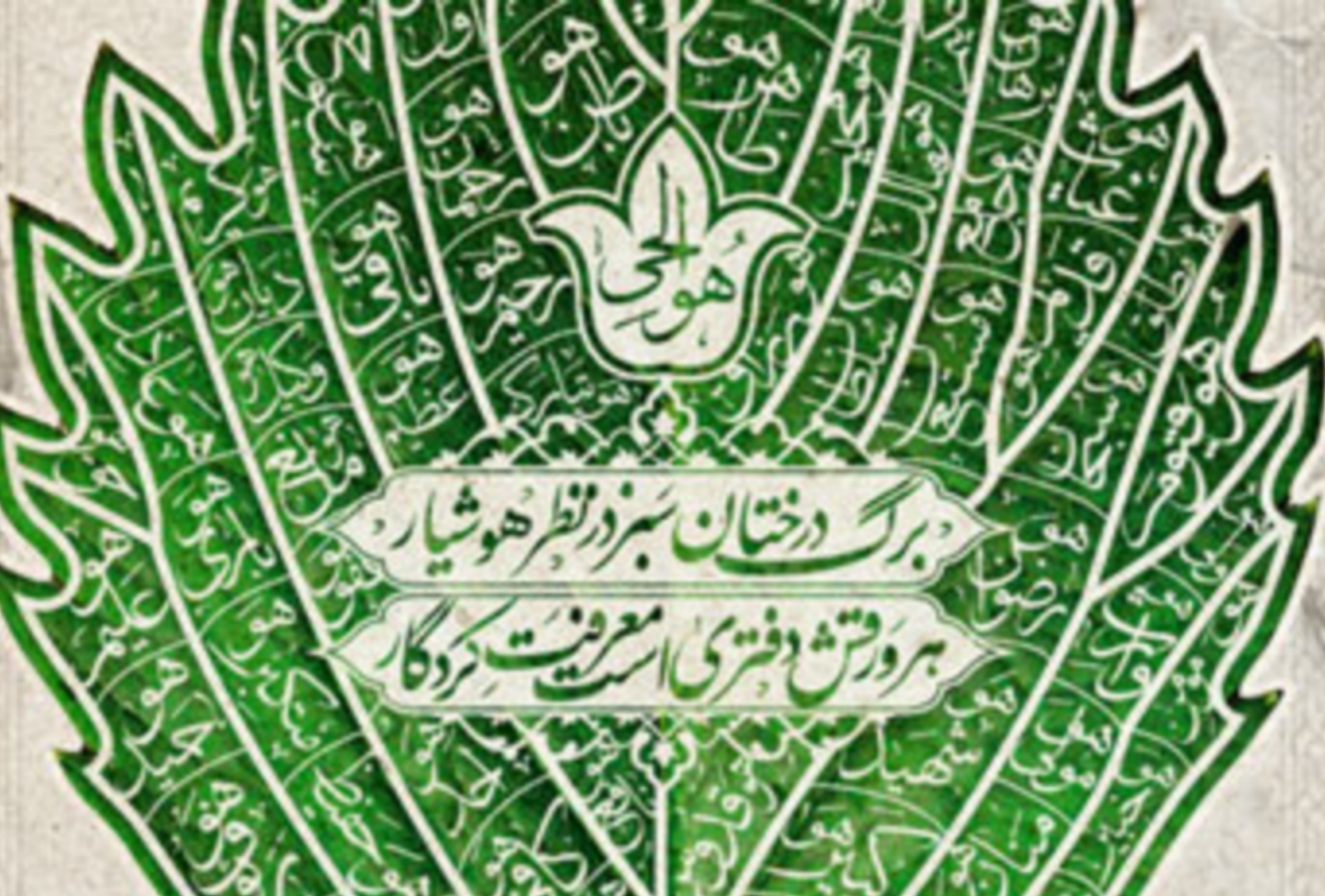 «⚠️توجه:من ادعایی در این موضوع ندارم!»