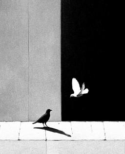 دارم سوالی ای‌خدا ...