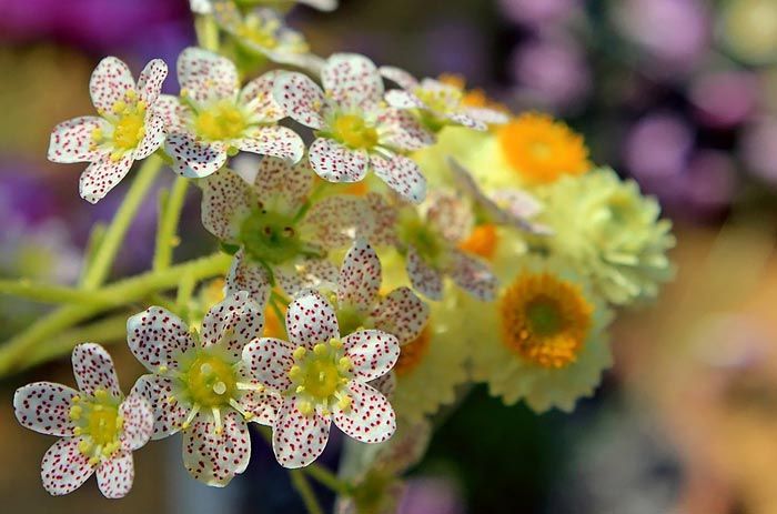 راه های کاهش پسماند در زندگی