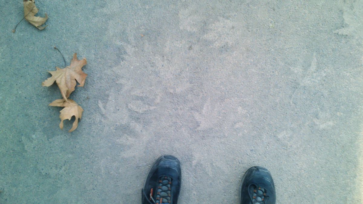 عکسی که برای دالاهو فرستادی و من همونموقع چاپش کردم... جای قدمهات روی زمین هنوز گرمه...