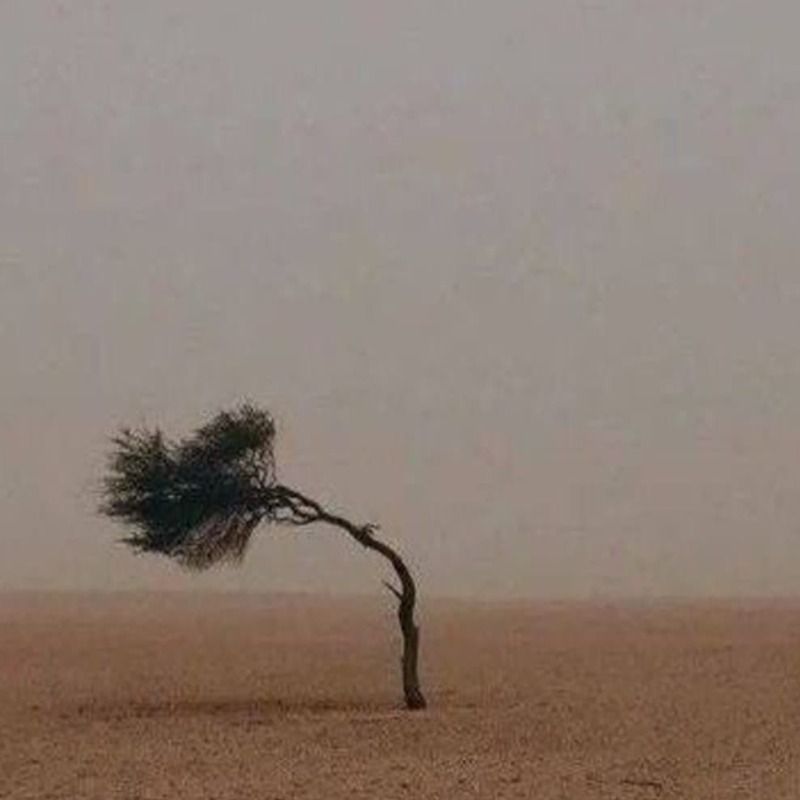 ضُحاخانومِ؛