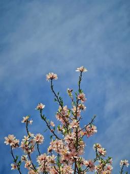 و آنچه اهمیت داشت حال خوب بود!