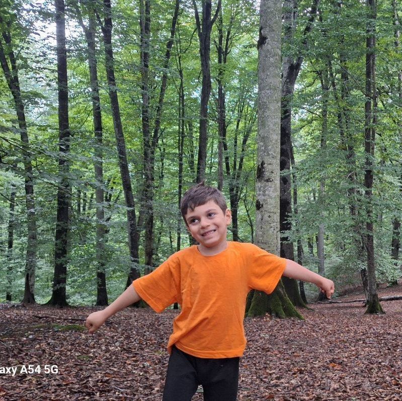 آرشین شاهرخی در جنگل های انبوه گیلان