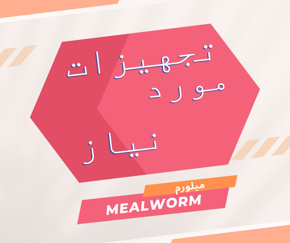 ▪︎▪︎▪︎▪︎