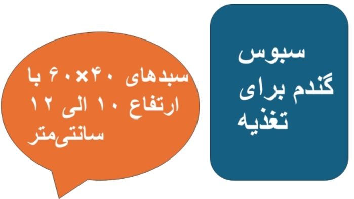 ▪︎▪︎▪︎▪︎