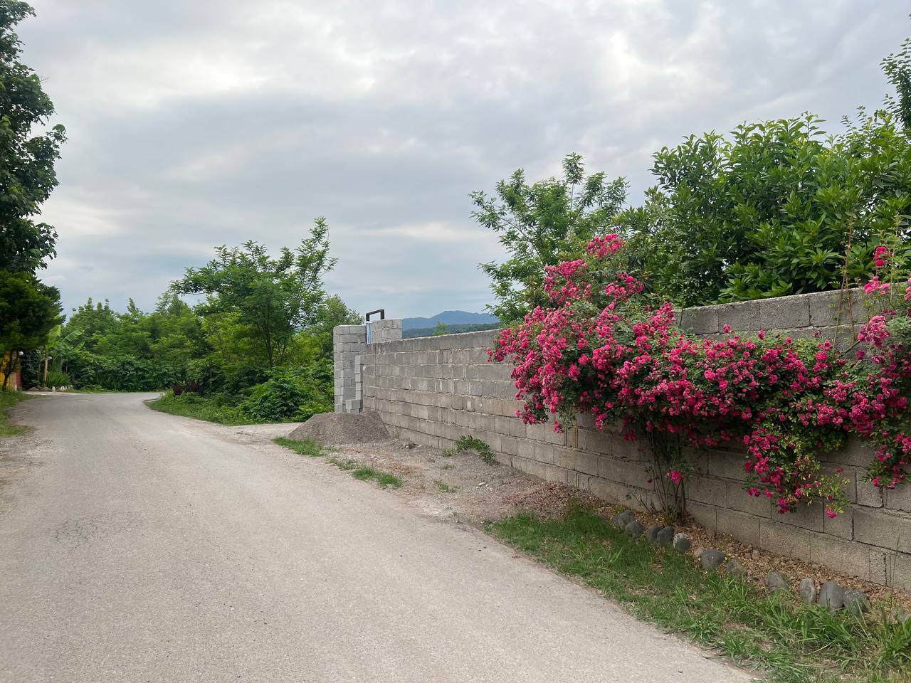 ایستگاهی کوتاه، زندگی.