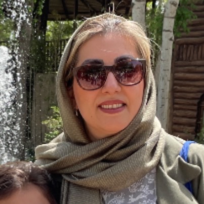 نسخه های ذهنی