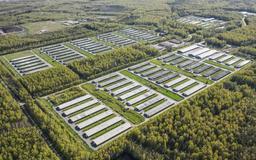 طراحی و مدیریت فارم‌های 1 میلیون قطعه‌ای: راهکارها و استراتژی‌ها