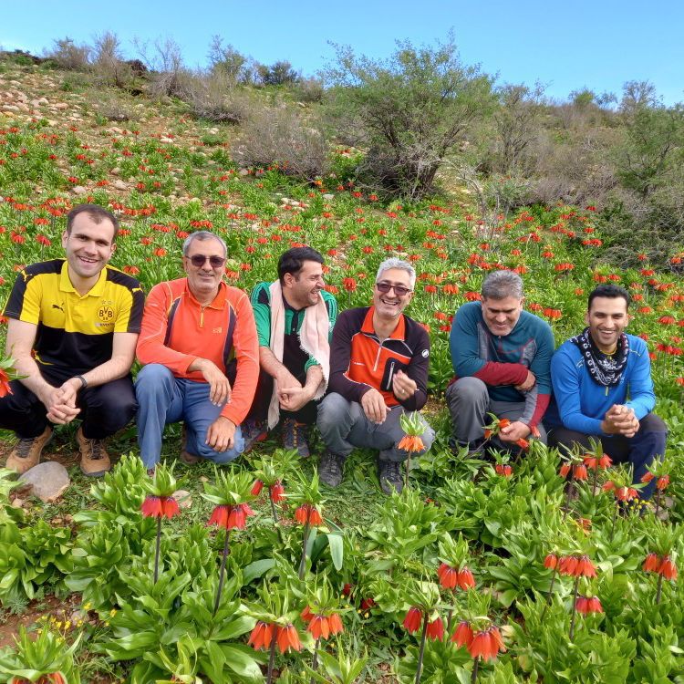 اسفندیار خدایی سرچ عکس سئو گوگل، طبیعت لرستان دشت لاله واژگون رزسو رزستان دورود