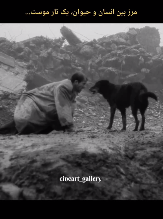 انسان یا حیوان؟