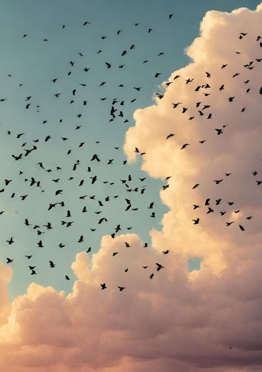 نامه به دختری که به دنیا نیامده