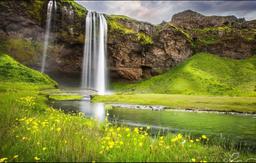 بی دلیل انسان و انسان جو باش