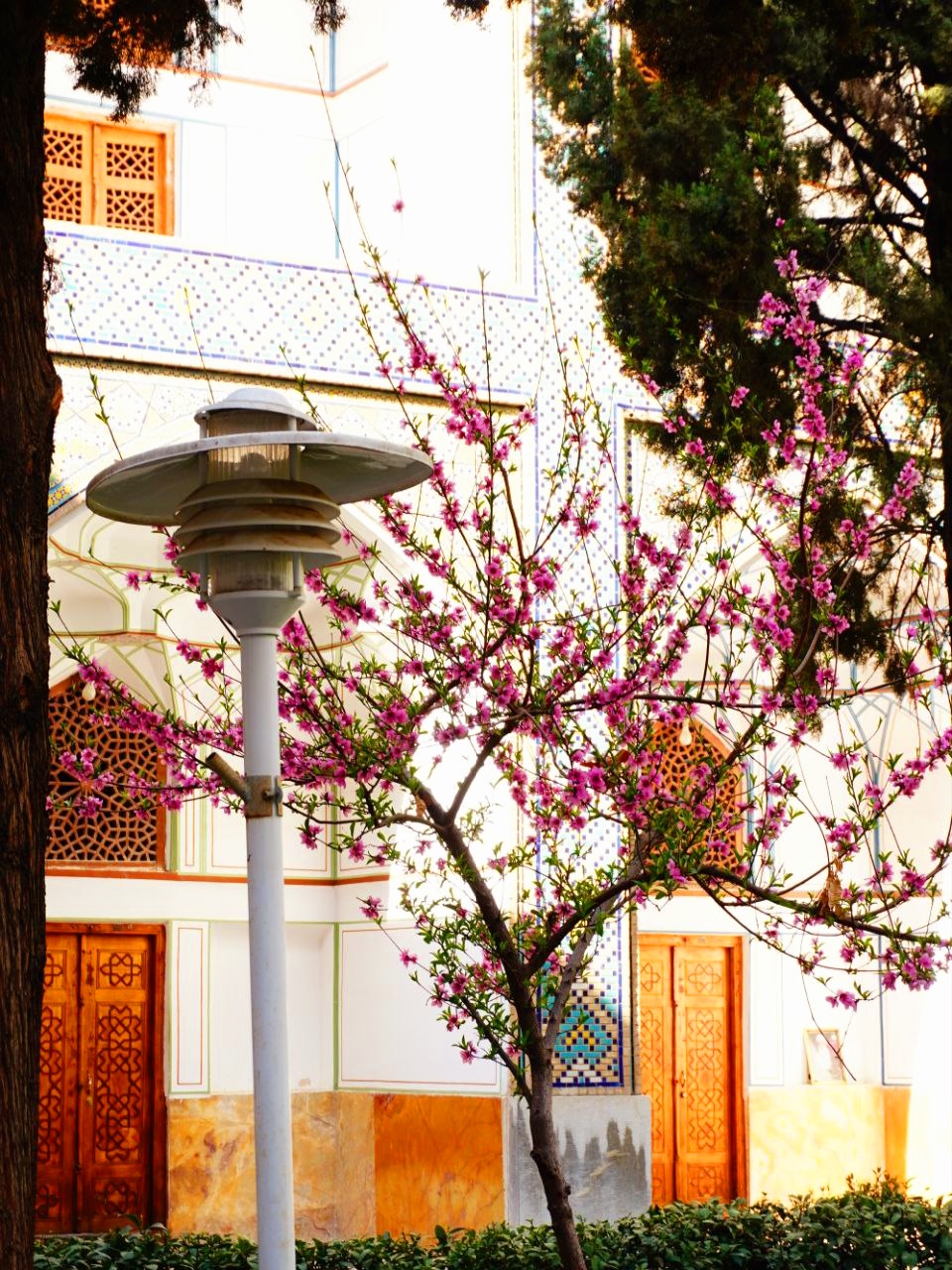 بهار بود و بهشت.