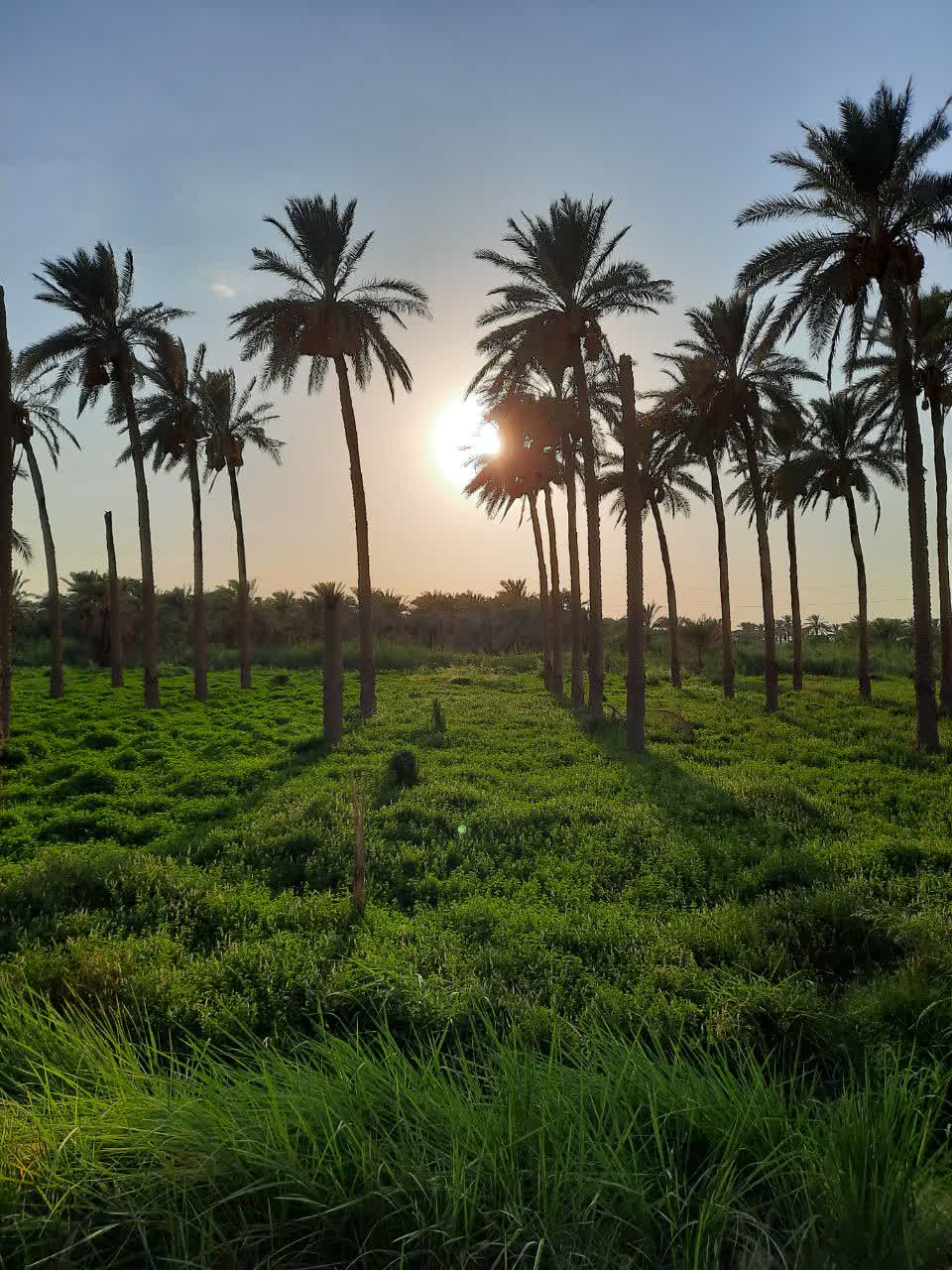 واژه ندارم.