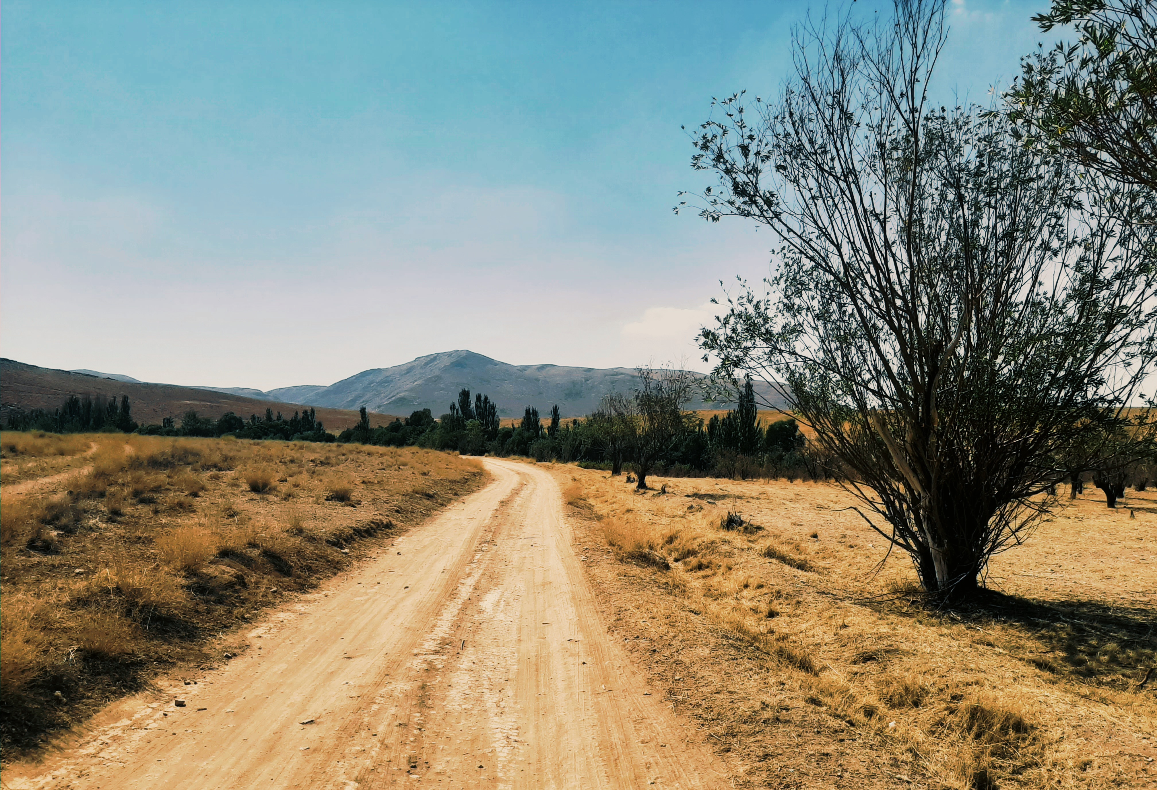 گفتم شما بروید. من پیاده می‌آیم. پیاده و تنها.