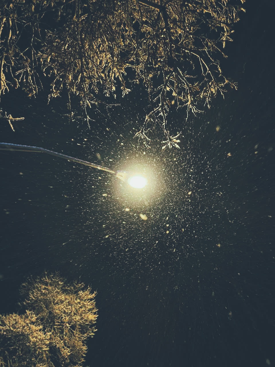 مُمدِّ حیات بود و مُفَرِّحِ ذات.