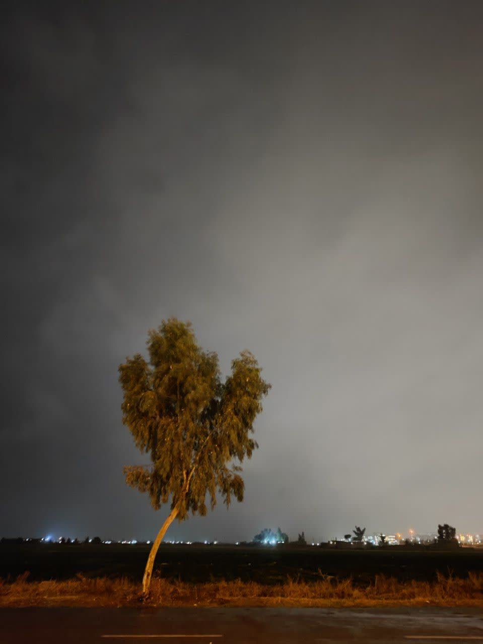 تک درخت تنها...مرسی که نظاره گر تمام اتفاقات زندگیم بودی و موندی! ممنونم ازت درخت همیشه تنها.