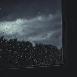دلِ ماهیـــی