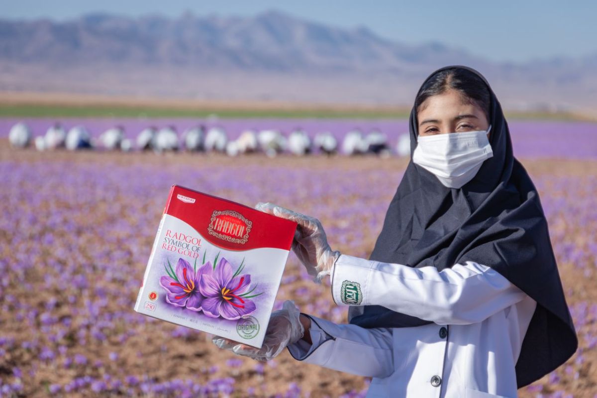 زعفران رادگل