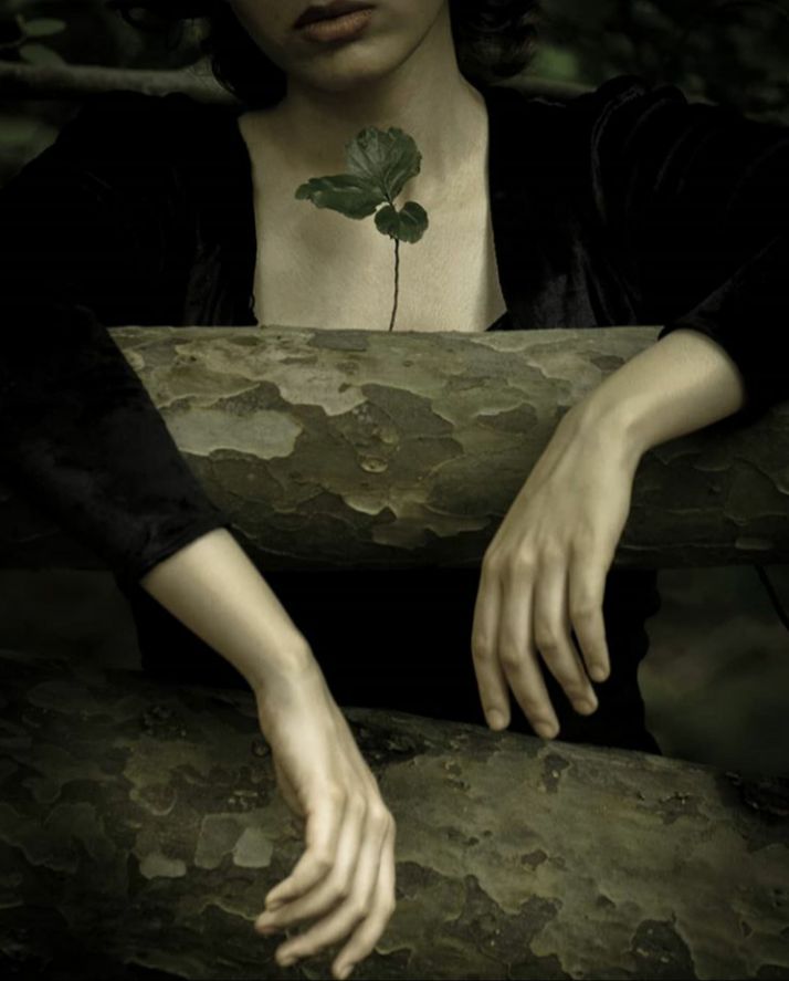 درخت سوخته‌ی عمر من بهار مبارک 