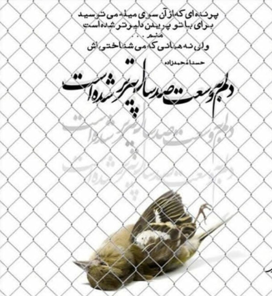 حسنا محمدزاده - شعر عاشقانه 