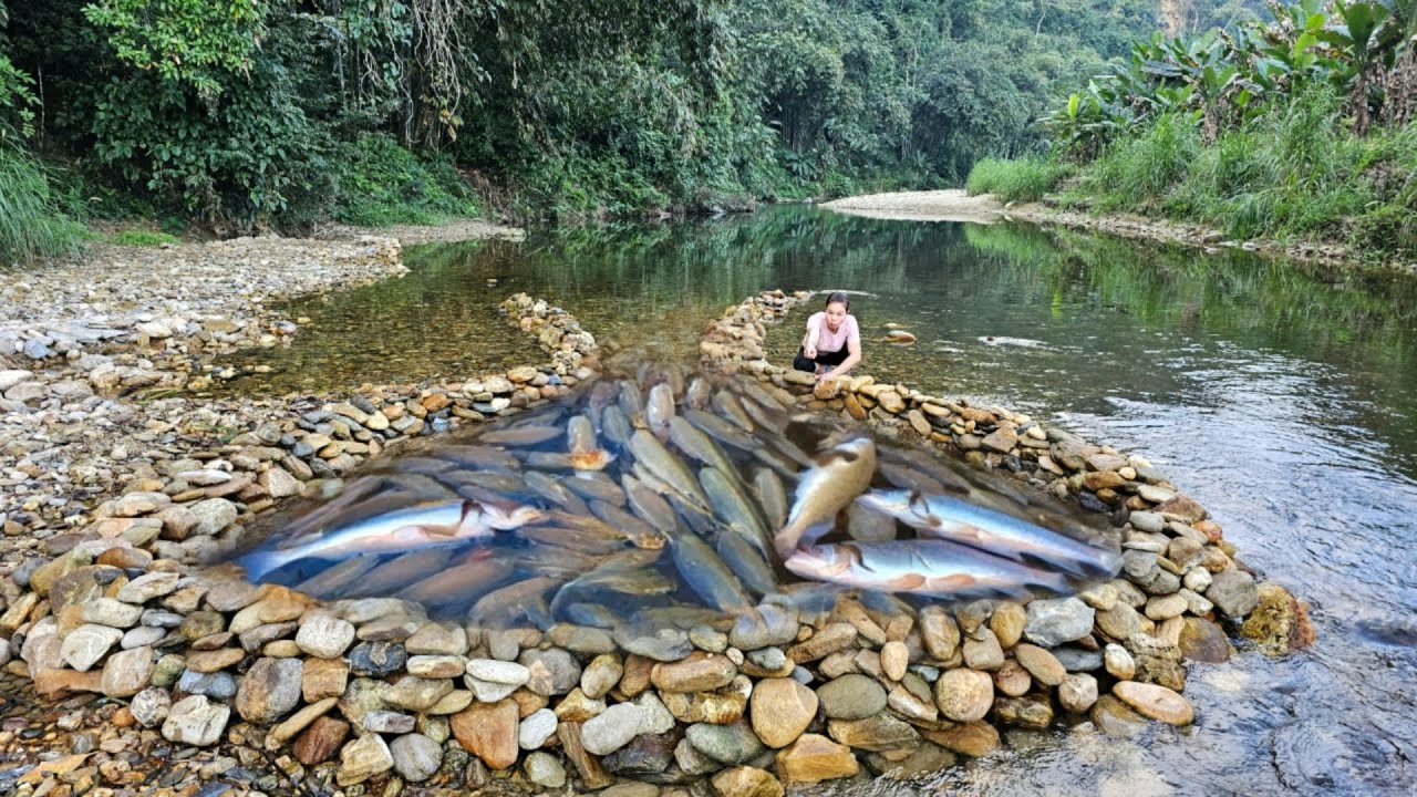 از رودخانه تا درآمد: ۱۸ درس طلایی کارآفرینی (دکتر هادی حسینی)