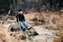 جنگلبان کوچک