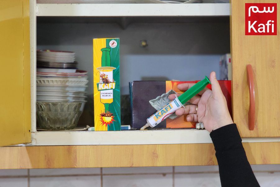 تنها راه از بین بردن سوسک کابینت