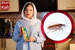 سوسک کش قوی کابینت (بدون بو - بدون لکه - 100% موثر)