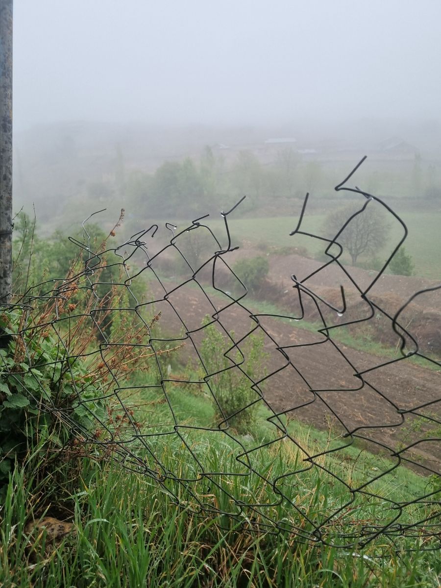 حرکت از روستای اروست
