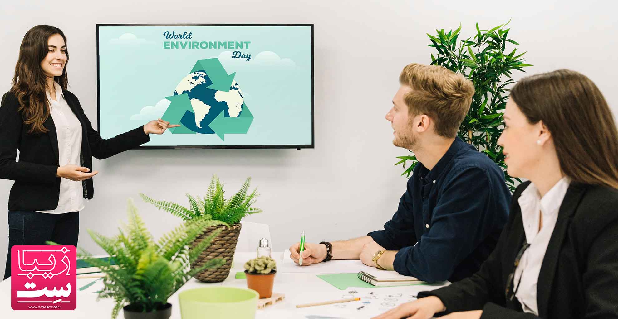 نقش گیاهان در طراحی دکوراسیون اداری