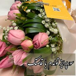 وقتی آسمان، صحنه سورپرایز تو میشه! تجربه پرواز تفریحی با هواپیمای سبک