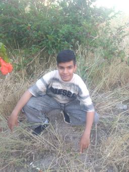 امیر حسین حقگو