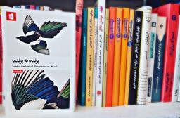 پرنده به پرنده با آن لاموت