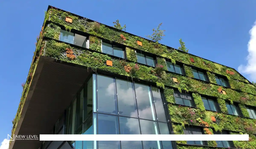 روندهای طراحی معماری 2024: نوآوری در پایداری