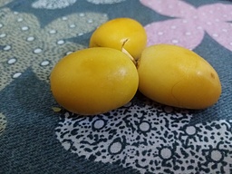 بی صدا