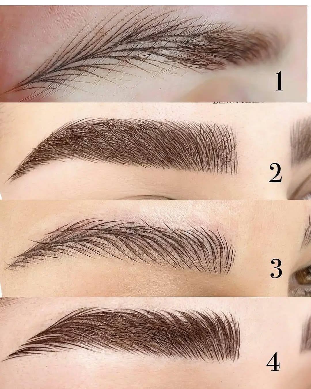 فیبروز ابرو دخترانه