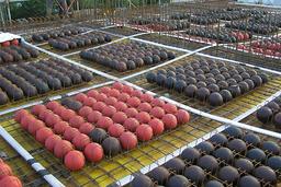 چند قلم از فناوری های نوین ساختمان 2