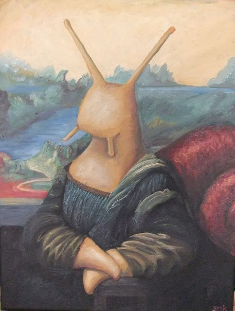 حق‌الحیوان