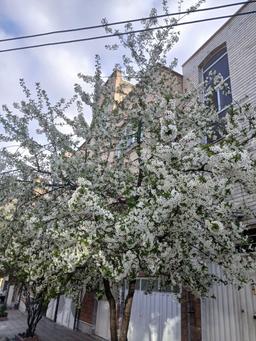 راه بی پایانِ عشق...