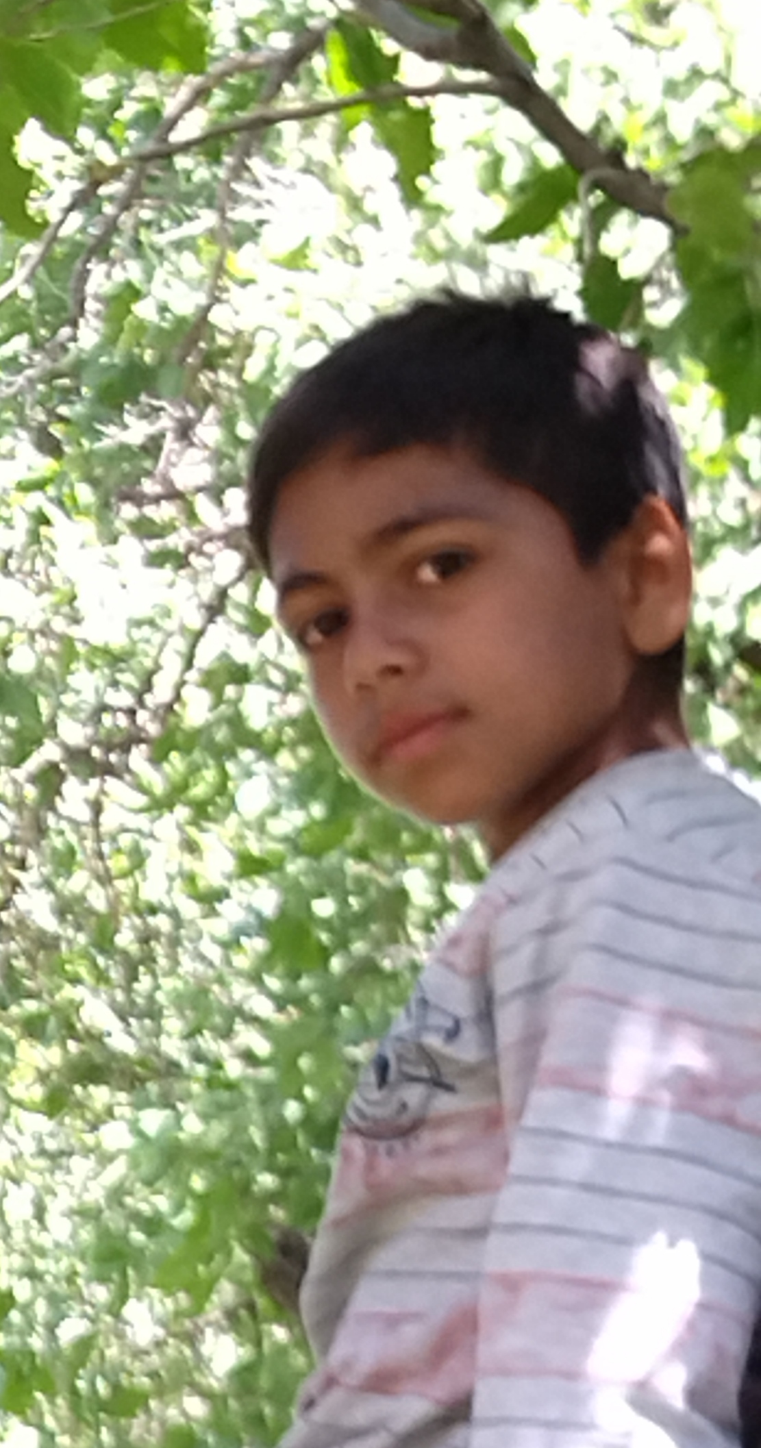 امیرمحمدفرپور