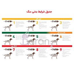 آیا وزن مناسب حیوان خود را می دانید؟
