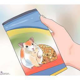 تغذیه مناسب همستر