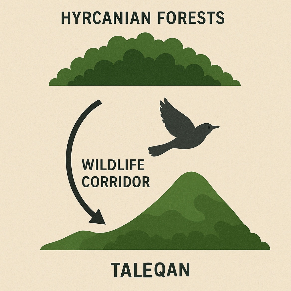 طرح اتصال جنگل های باستانی هیرکانی به طالقان