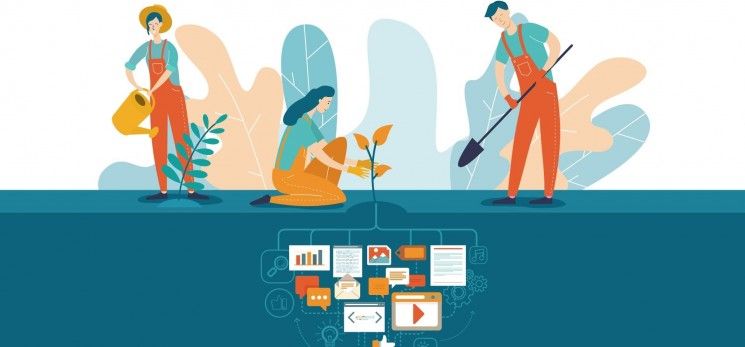 seeding in viral marketing