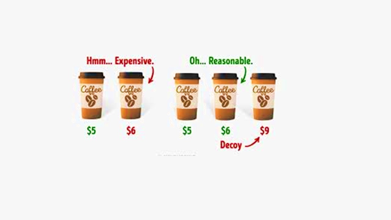 Decopy pricing