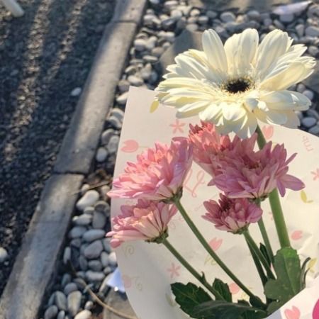 هانیه رحیمی