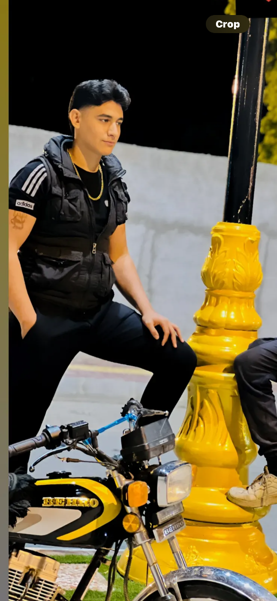 شایان ملایی