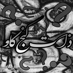 ذات کنج‌کاو❔