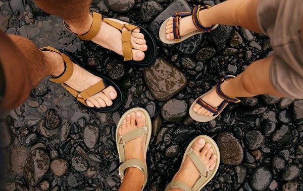 صندل طبیعت‌گردی 